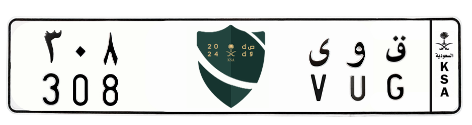 لوحة ق و ى 308